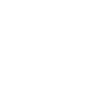 shapes_icon